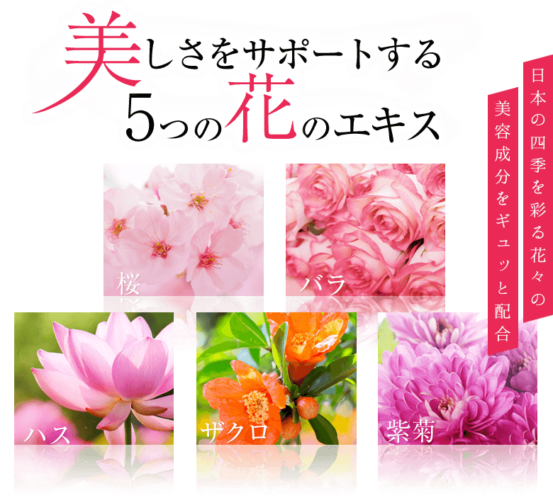 美しさをサポートする５つの花のエキス　日本の四季を彩る花々の美容成分をギュッと配合