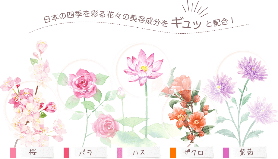 日本の四季を彩る花々の美容成分をギュッと配合！